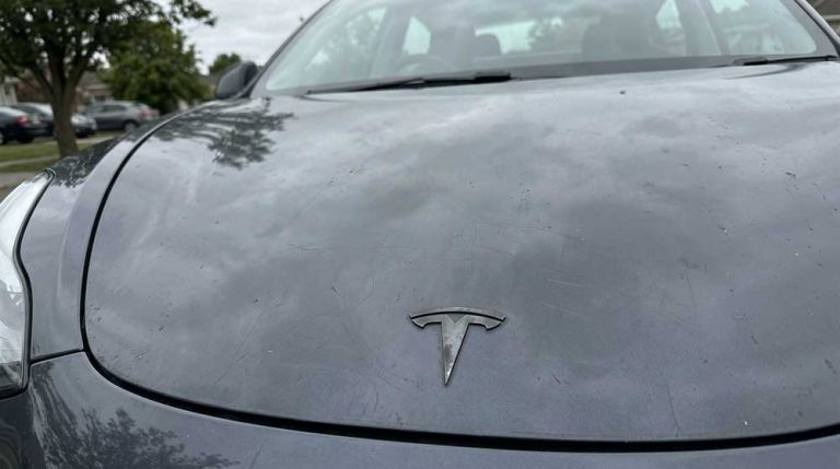 Detailing: Does Your Tesla Need Paint Correction?