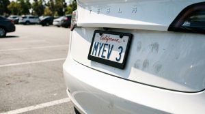choosing tesla vanity plates