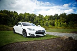 Tesla-Off-Road